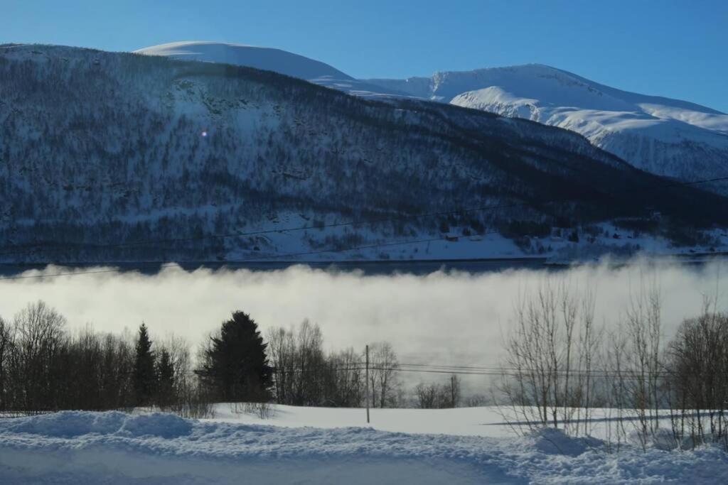 New Magnificent View Apartment Near The Centre Tromsø Eksteriør bilde