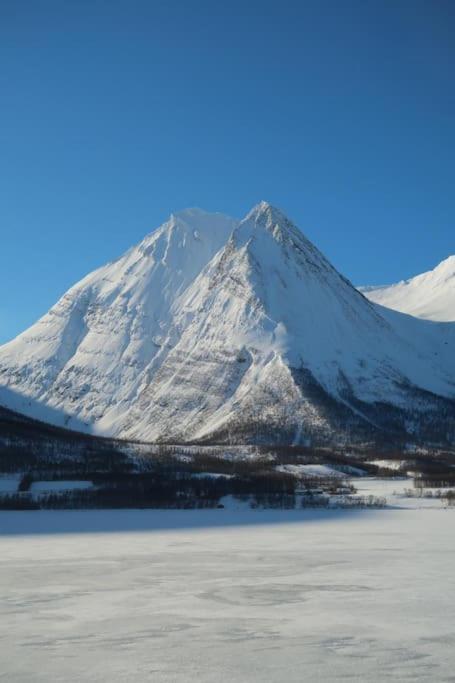 New Magnificent View Apartment Near The Centre Tromsø Eksteriør bilde