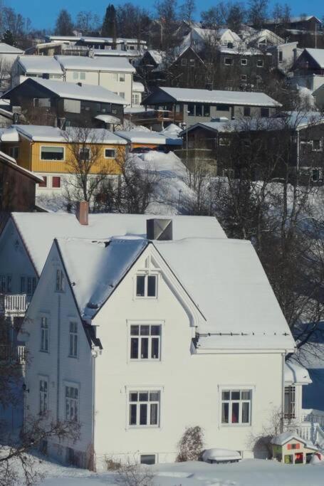 New Magnificent View Apartment Near The Centre Tromsø Eksteriør bilde